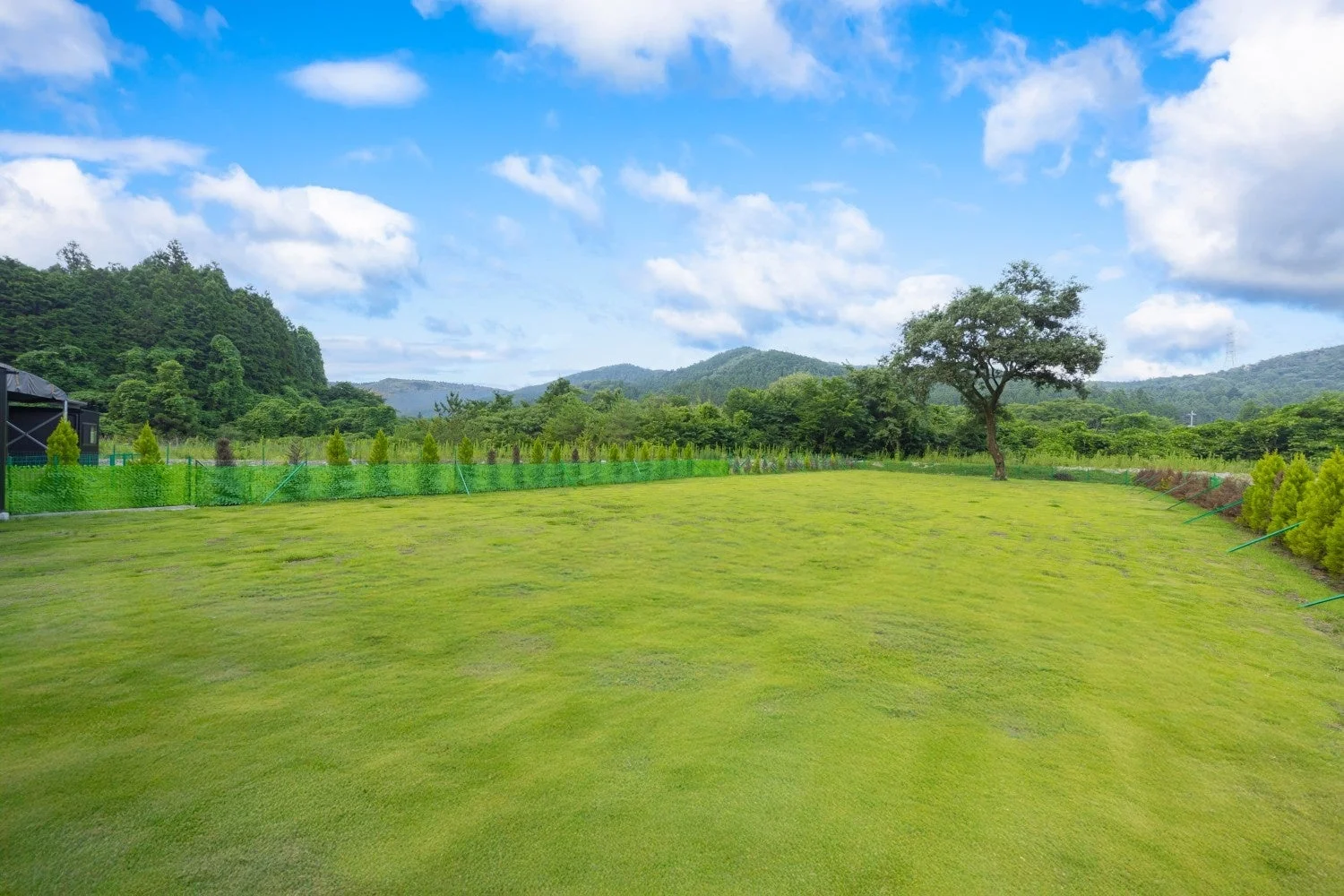 晴れた日の広々とした芝生広場の風景