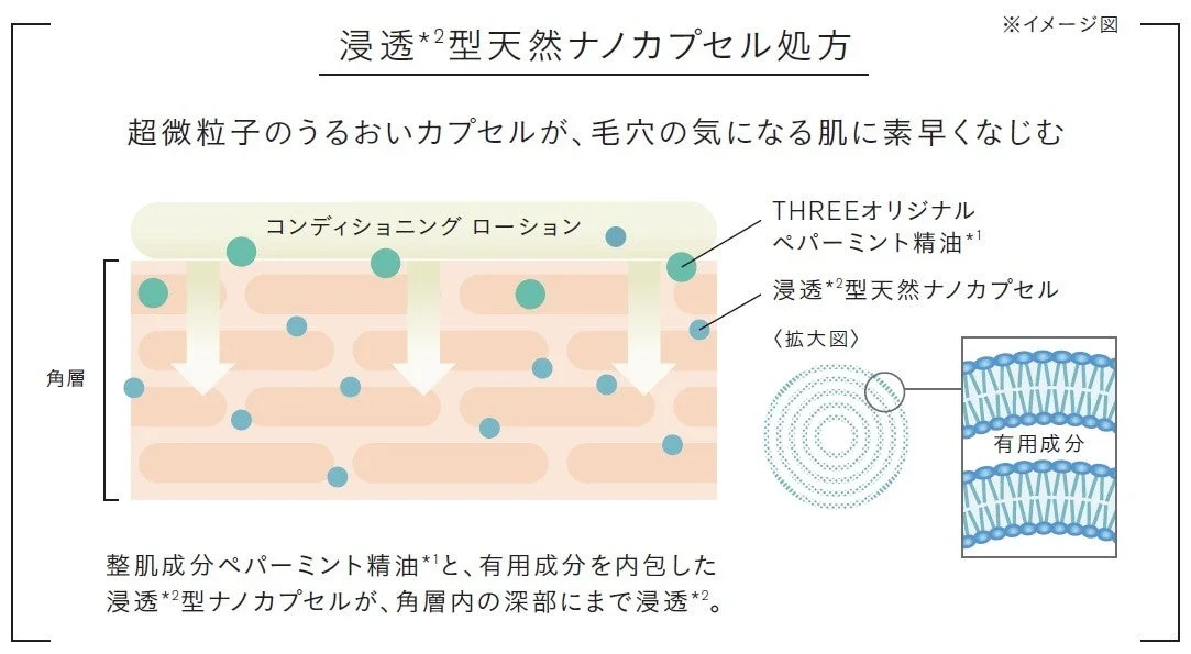 浸透<em>2型天然ナノカプセル処方 ※イメージ図
