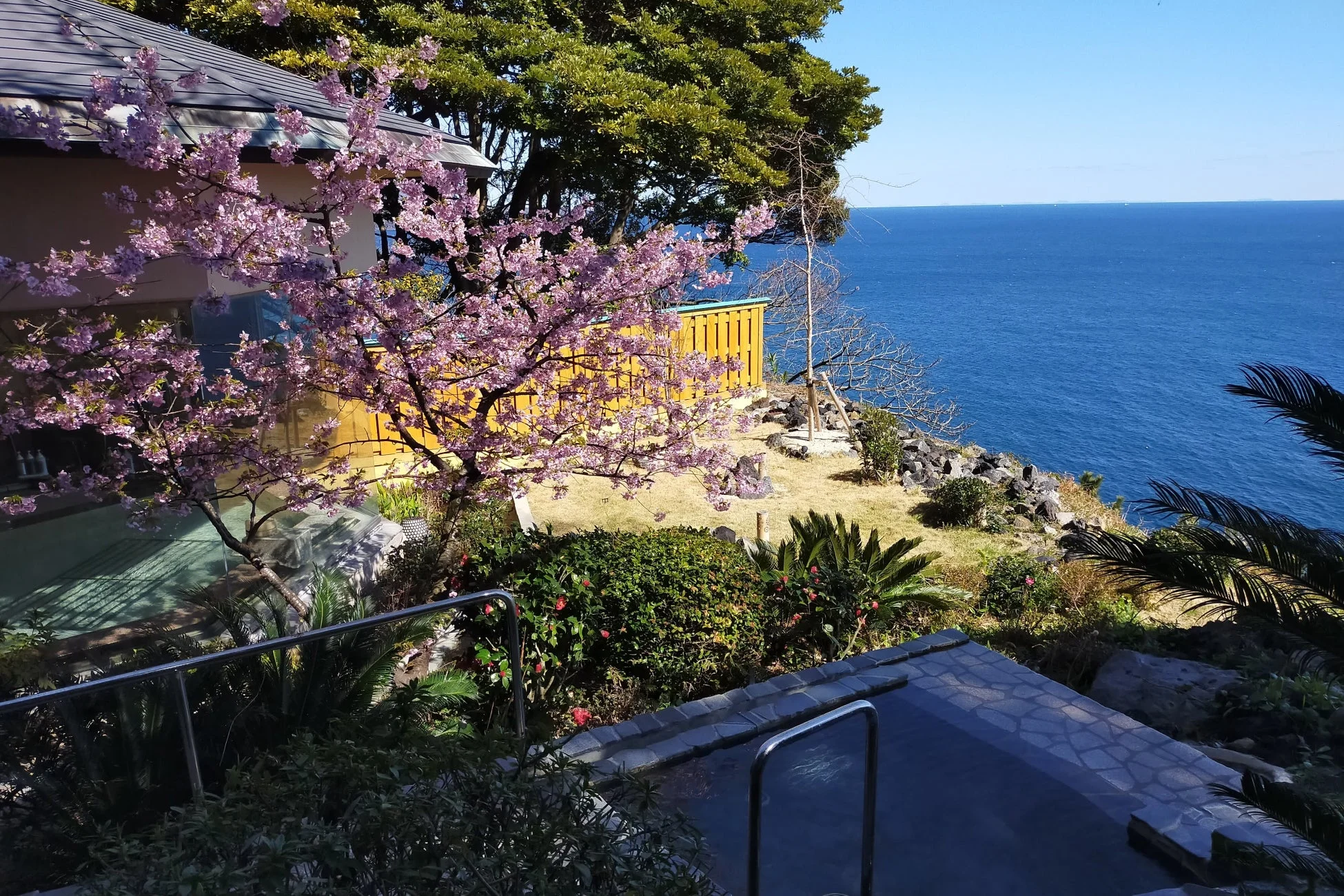 桜と海を見下ろす露天風呂からの絶景